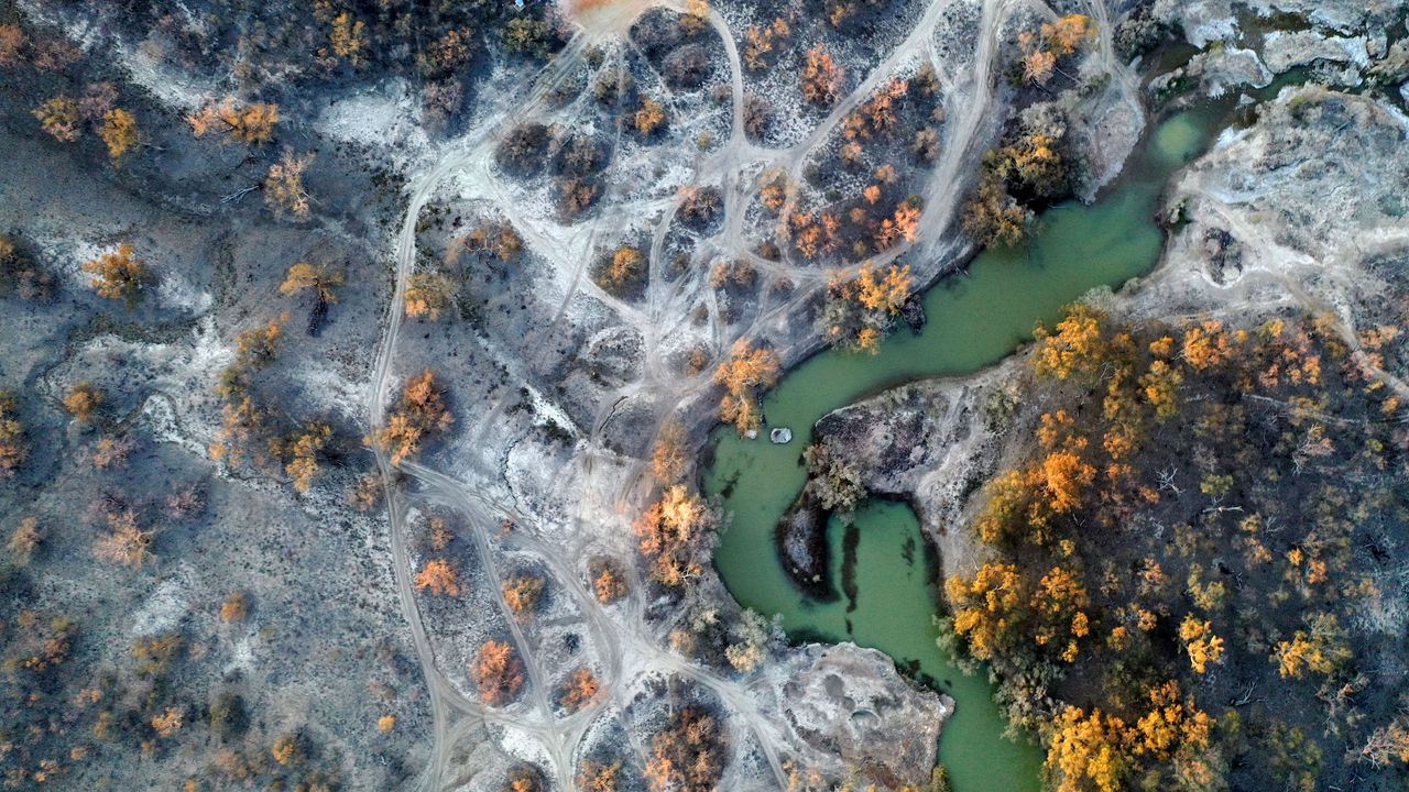 Wallpaper river, trees, landscape, nature, aerial view