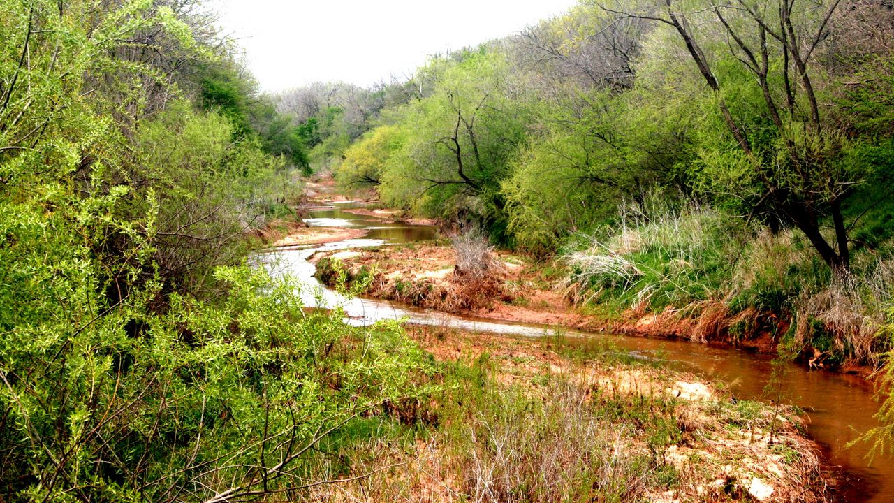 Wallpaper river, trees, landscape