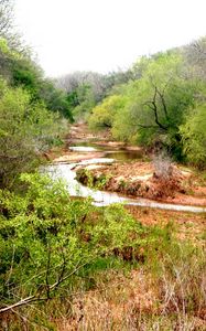 Preview wallpaper river, trees, landscape