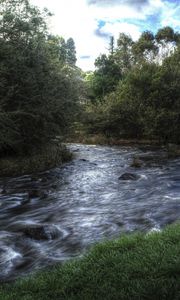 Preview wallpaper river, trees, landscape