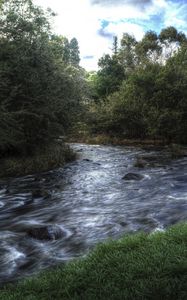 Preview wallpaper river, trees, landscape