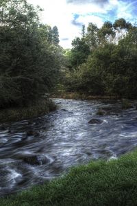 Preview wallpaper river, trees, landscape