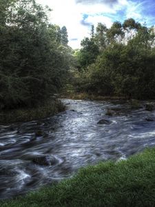 Preview wallpaper river, trees, landscape