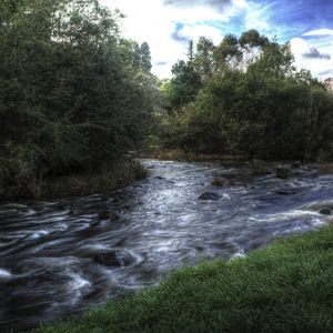 Preview wallpaper river, trees, landscape