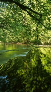 Preview wallpaper river, trees, light, grass