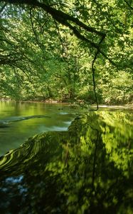 Preview wallpaper river, trees, light, grass