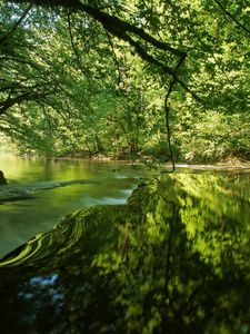 Preview wallpaper river, trees, light, grass