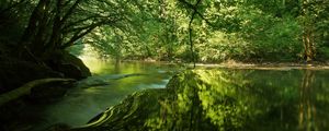 Preview wallpaper river, trees, light, grass