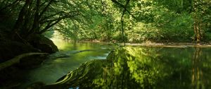 Preview wallpaper river, trees, light, grass