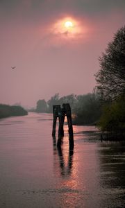 Preview wallpaper river, trees, logs, sunset, nature