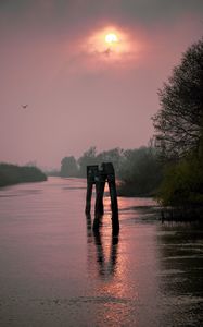 Preview wallpaper river, trees, logs, sunset, nature