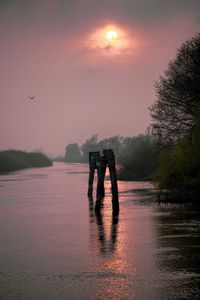 Preview wallpaper river, trees, logs, sunset, nature