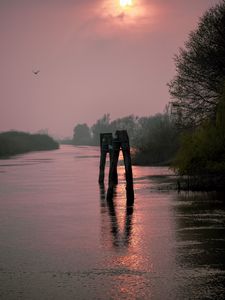 Preview wallpaper river, trees, logs, sunset, nature