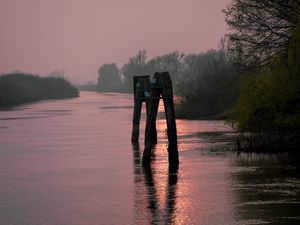 Preview wallpaper river, trees, logs, sunset, nature