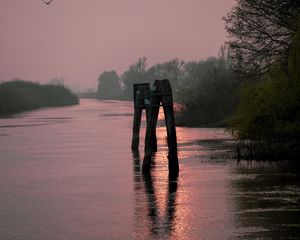 Preview wallpaper river, trees, logs, sunset, nature