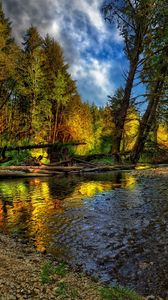 Preview wallpaper river, trees, logs, wood, coast, stony, pebble, sky, summer