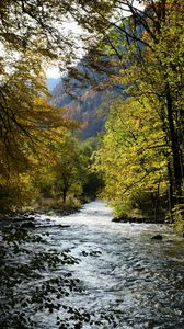 Preview wallpaper river, trees, mountain, landscape