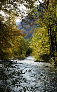 Preview wallpaper river, trees, mountain, landscape