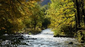 Preview wallpaper river, trees, mountain, landscape