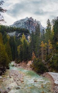 Preview wallpaper river, trees, mountain, nature, landscape