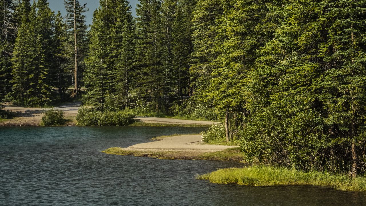 Wallpaper river, trees, mountain, landscape, nature