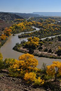 Preview wallpaper river, trees, mountains, landscape, nature, autumn