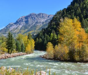 Preview wallpaper river, trees, mountains, slope, landscape