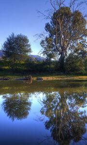 Preview wallpaper river, trees, nature, landscape