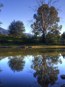 Preview wallpaper river, trees, nature, landscape