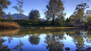 Preview wallpaper river, trees, nature, landscape