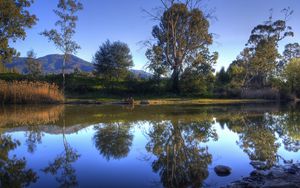 Preview wallpaper river, trees, nature, landscape