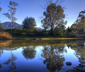 Preview wallpaper river, trees, nature, landscape