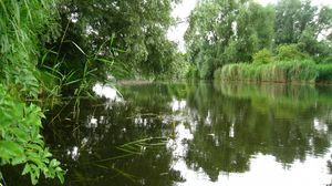 Preview wallpaper river, trees, nature, summer