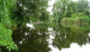 Preview wallpaper river, trees, nature, summer