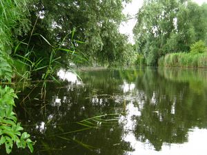 Preview wallpaper river, trees, nature, summer