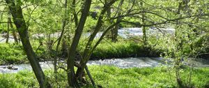 Preview wallpaper river, trees, nature