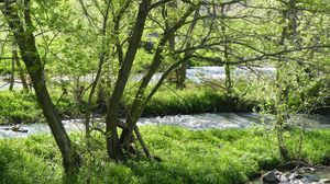 Preview wallpaper river, trees, nature