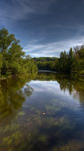 Preview wallpaper river, trees, nature, landscape