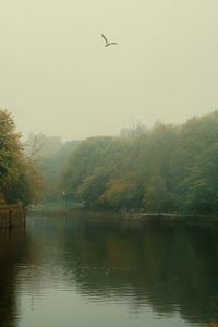 Preview wallpaper river, trees, park, fog, birds