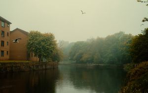 Preview wallpaper river, trees, park, fog, birds