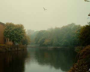 Preview wallpaper river, trees, park, fog, birds