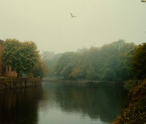 Preview wallpaper river, trees, park, fog, birds