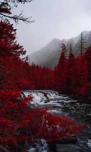 Preview wallpaper river, trees, red, mountains, fog, landscape