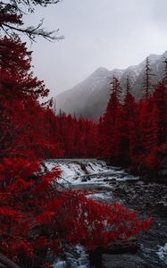 Preview wallpaper river, trees, red, mountains, fog, landscape