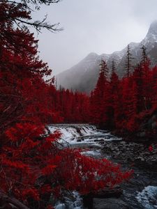 Preview wallpaper river, trees, red, mountains, fog, landscape