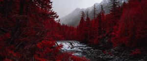 Preview wallpaper river, trees, red, mountains, fog, landscape