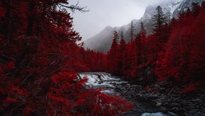 Preview wallpaper river, trees, red, mountains, fog, landscape