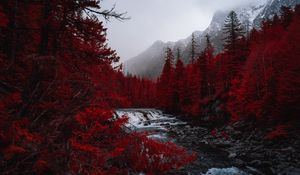 Preview wallpaper river, trees, red, mountains, fog, landscape