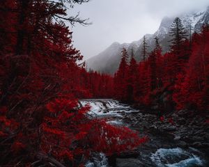 Preview wallpaper river, trees, red, mountains, fog, landscape