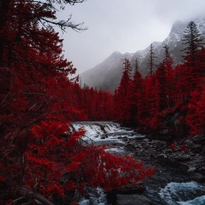 Preview wallpaper river, trees, red, mountains, fog, landscape